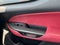 2024 Lexus NX 250 Base