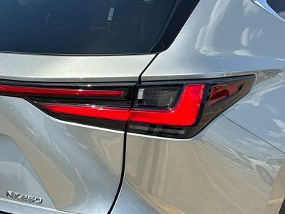 2024 Lexus NX 250 Base