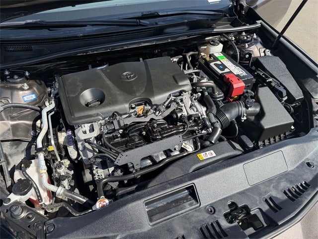 2019 Toyota CAMRY LE