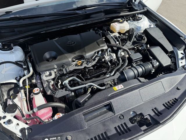 2023 Toyota CAMRY LE