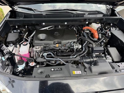 2025 Toyota RAV4 HYBRID LE