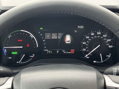 2025 Toyota SIENNA XLE XLE 8 Passenger