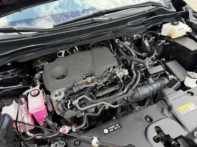 2023 Toyota SIENNA XLE XLE 8 Passenger