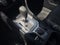 2019 Subaru Forester Premium Premium